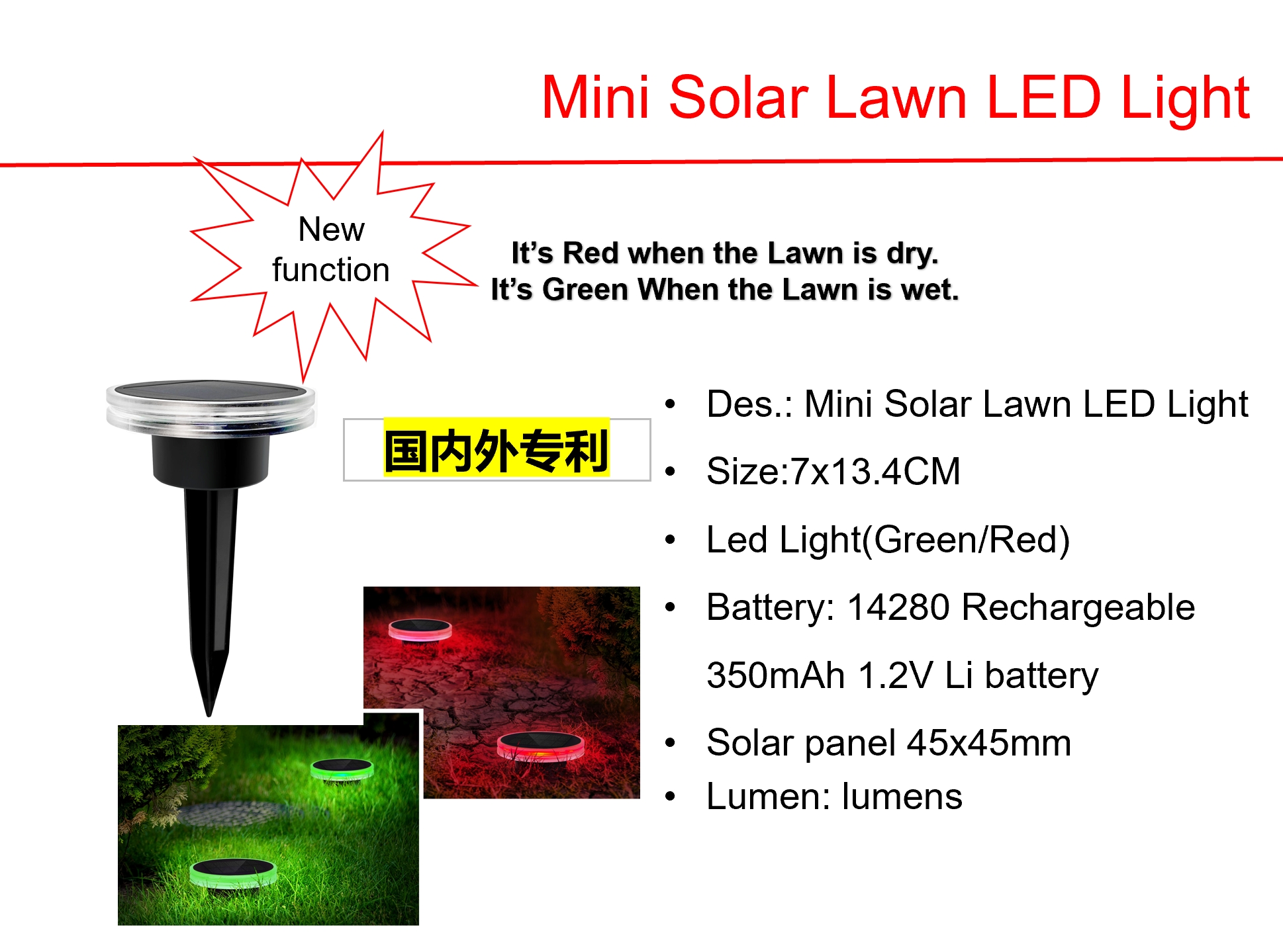 Solar LED Gutter & Mini Solar Lawn LED Lights
