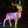 Color intrigue Christmas deer