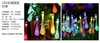 PS Water drop shape Decoration Light chains 