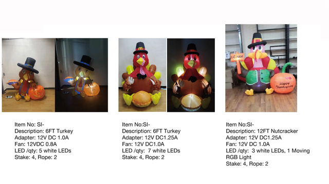 Turkey Inflatable LED Lights