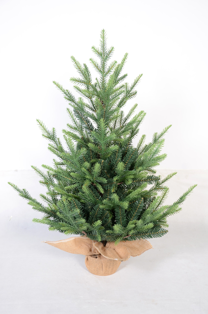 X'mas Green color mini Ordinary Christmas tree - 7