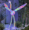 Color intrigue swan