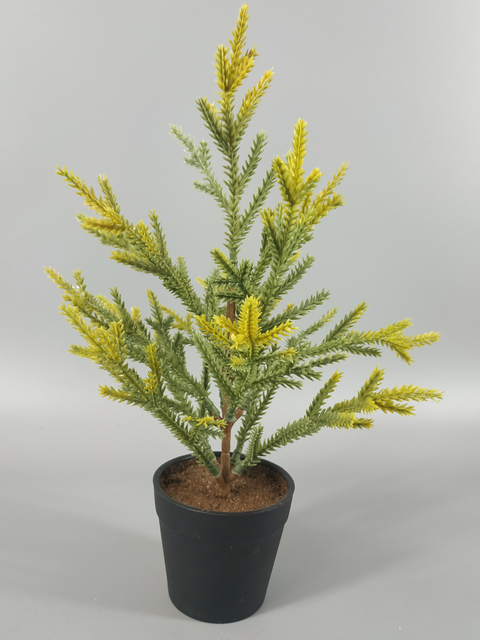 X'mas Green Mini Tree with basin - 17
