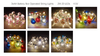 Operated String Lights