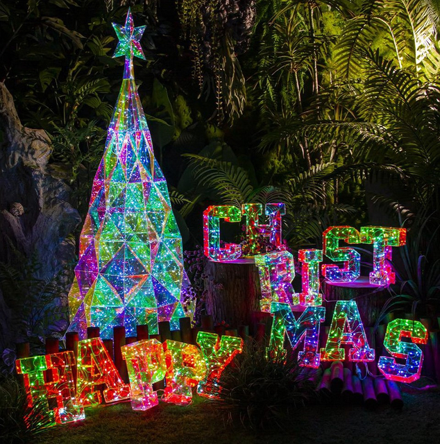 Color intrigue Merry Christmas