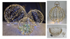 LED light Iron ball cage