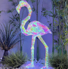 Color intrigue swan