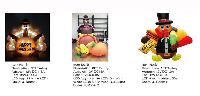 Turkey Inflatable LED Lights