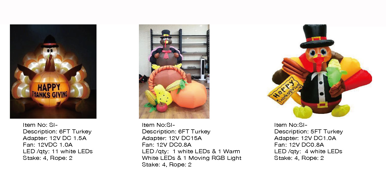 Turkey Inflatable LED Lights