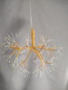 Hanging Firework Light (30cm Diameter Sparkler Head Design) with Tangerine-Orange Branches, Festive Decorative Lamp for Parties/Events/Indoor Ambiance