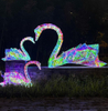 Color intrigue swan