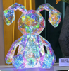 Fancy rabbit