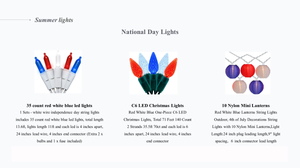National Day Lights