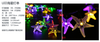 Starfish Decoration Light chains