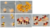 LED Seasonal String Light