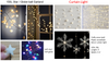 Fairy Curtain lights 2