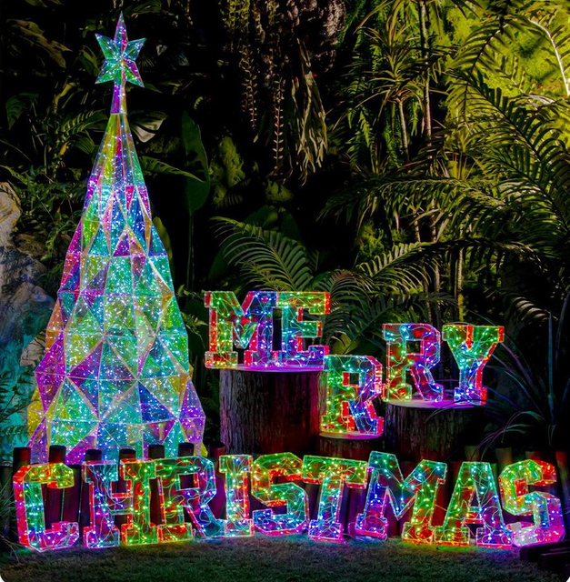 Color intrigue Merry Christmas