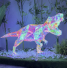 Color intrigue Dinosaur